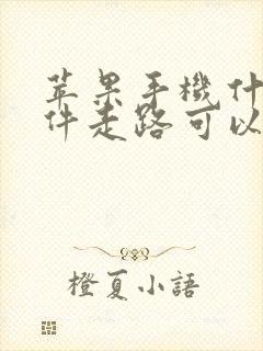 苹果手机什么软件走路可以赚钱的软件