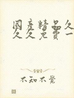 国产精品久久久久久免费一级