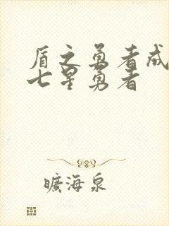 盾之勇者成名录七星勇者