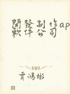 开发制作app软件公司