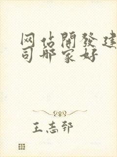 网站开发建设公司哪家好