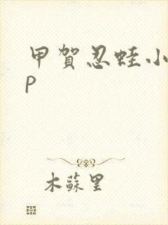 甲贺忍蛙小智cp