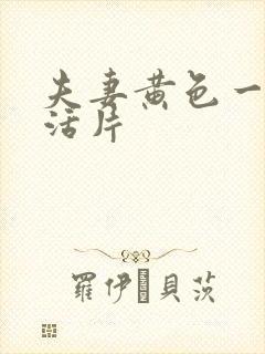 夫妻黄色一级生活片