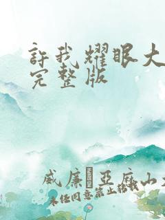 许我耀眼大结局完整版