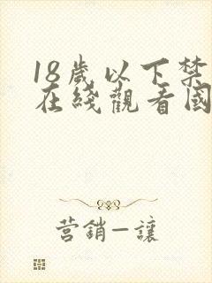 18岁以下禁止在线观看国产网站