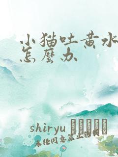 小猫吐黄水拉稀怎么办