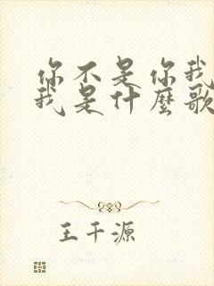 你不是你我不是我是什么歌