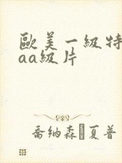 欧美一级特黄aaa级片