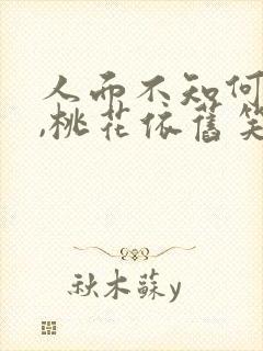 人面不知何处去,桃花依旧笑春风翻译