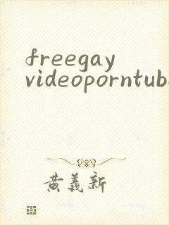 freegayvideoporntube