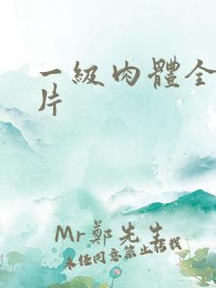 一级肉体全黄裸片