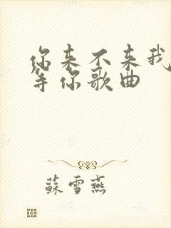 你来不来我都在等你歌曲