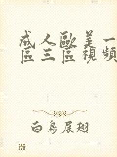 成人欧美一区二区三区视频不卡