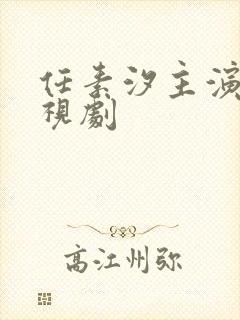 任素汐主演的电视剧