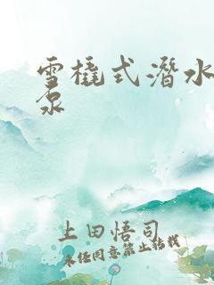 雪橇式潜水轴流泵