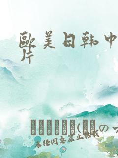 欧美日韩中伦理片