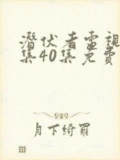 潜伏者电视剧全集40集免费观看潜伏