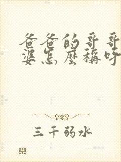 爸爸的哥哥的老婆怎么称呼