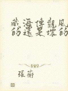 藏海传观风是好的还是坏的