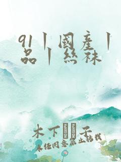 91丨国产丨精品丨丝袜