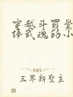 穿越斗罗觉醒棍棒武魂的小说