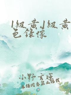 1级黄,1级黄色录像