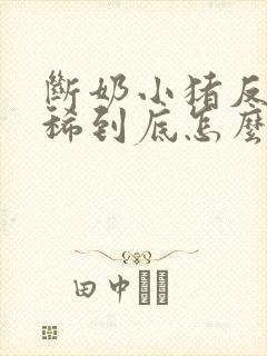 断奶小猪反复拉稀到底怎么治才能好呢