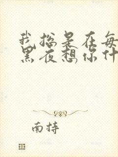我总是在每一个黑夜想你什么歌