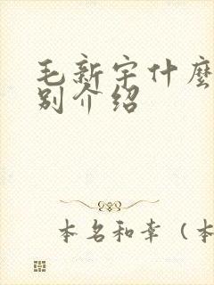 毛新宇什么军级别介绍