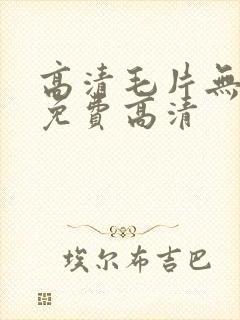 高清毛片无遮挡免费高清