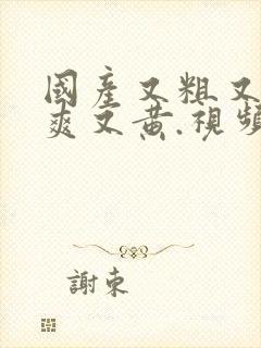 国产又粗又猛又爽又黄.视频