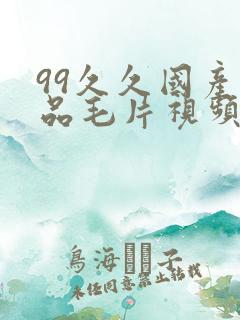 99久久国产精品毛片视频