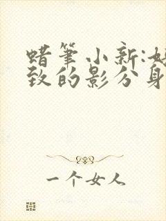 蜡笔小新:好别致的影分身 动画片