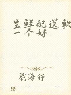 生鲜配送软件那一个好