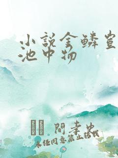 小说金鳞岂是物池中物