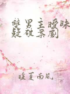 双男主暧昧向悬疑破案剧