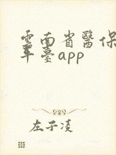 云南省医保服务平台app