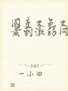 国产又色又爽又黄刺激的网站