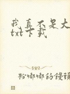 我真不是大佬 txt下载
