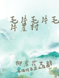 毛片毛片毛片毛片农村