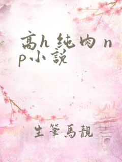高h 纯肉 np小说