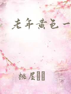 老年黄色一级片