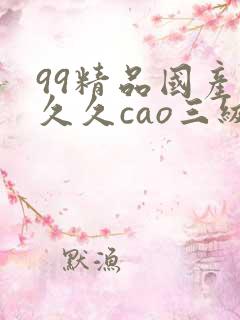 99精品国产热久久cao三级