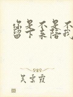 你是不是不愿意留下来陪我是什么歌