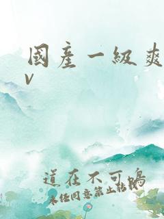 国产一级爽片av