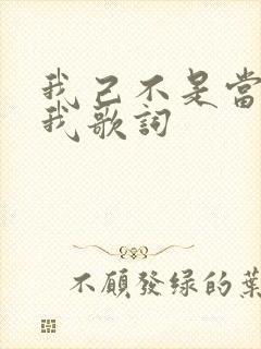 我己不是当年的我歌词