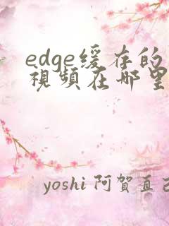 edge缓存的视频在哪里