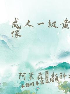 成人一级黄色录像