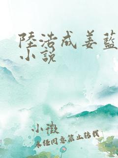 陆浩成姜蓝欣的小说