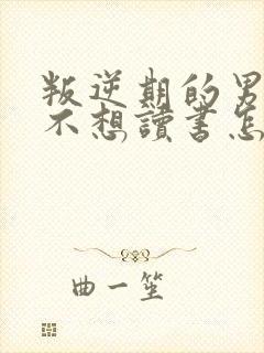 叛逆期的男孩子不想读书怎么办